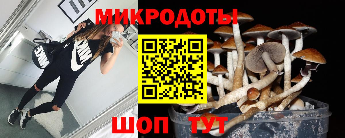Псилоцибиновые грибы ЛСД  Вход с VPN  Курчатов 