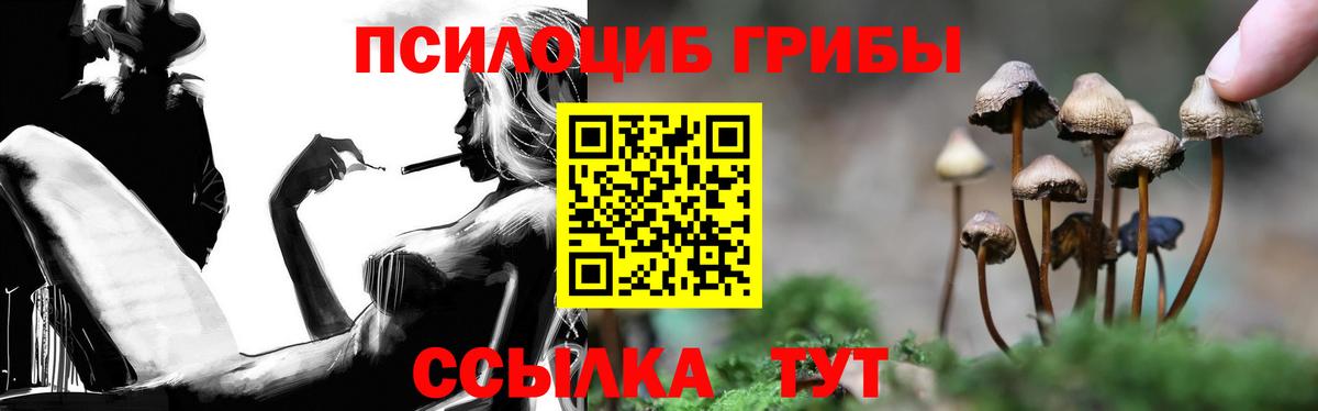Псилоцибиновые грибы мицелий Курчатов